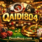 QAIDI804