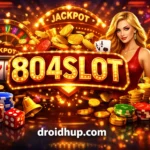 804SLOT
